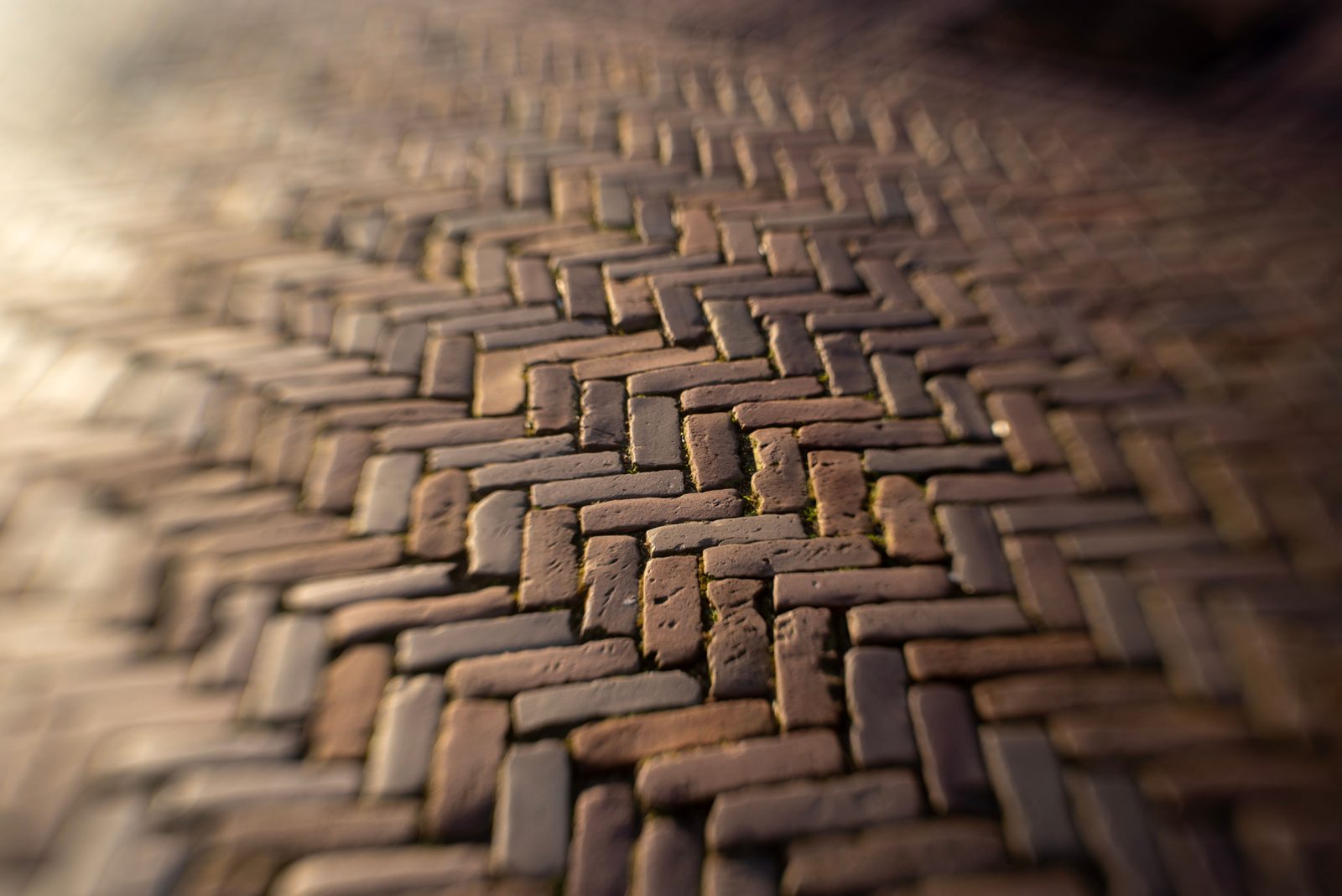Wet herringbone block paving freshly cleaned