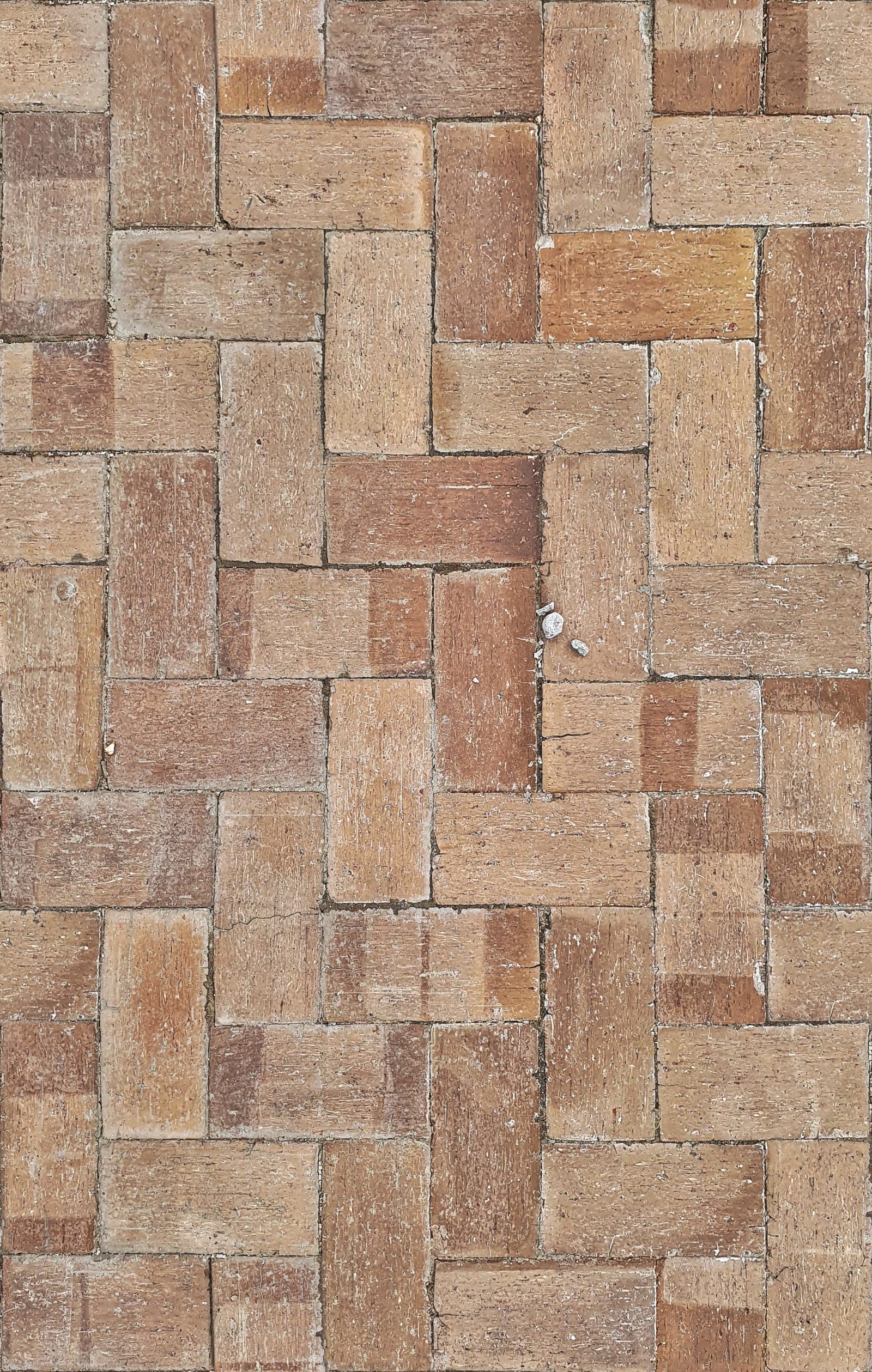 Block paving surface detail ready for sealing
